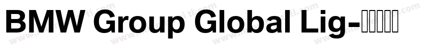 BMW Group Global Lig字体转换